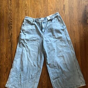 Lane Bryant  Light Blue Wide-Leg Jeans